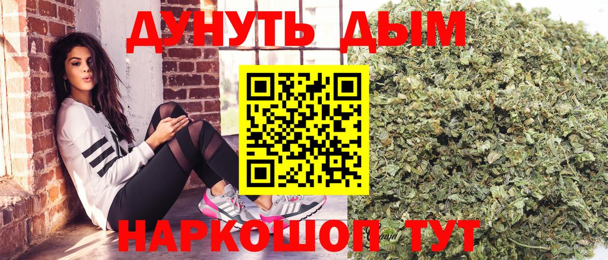 Каннабис семена Сальск